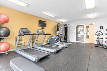 A gym with treadmills, exercise balls, and weights.